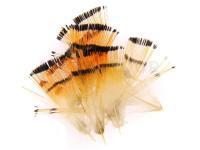 Golden Pheasant Tippets - Small