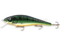 Leurre Goldy Great Mate 21cm - MG