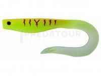 Leurre Illex Dexter Eel 150mm 21.5g - Magic Muddy Water