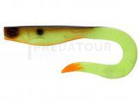 Leurre Illex Dexter Eel 150mm 21.5g - Muddy Roach