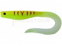 Leurre Illex Dexter Eel 210mm 64g - Magic Muddy Water