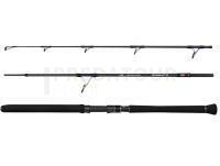 Canne Penn Overseas XT II Offshore Casting 2.30m 80-180g