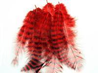 Hareline Grizzly Soft Hackle - Red