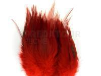 Hareline Woolly Bugger Saddle - Blood Red