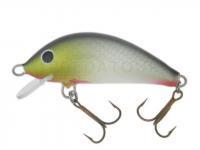 Leurre Gloog Hektor 40SRF - RN