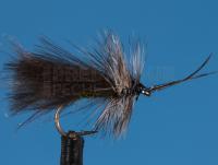 Mouche sèche Highrider Sedge Olive #12