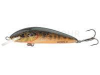 Leurre Hunter Horn 6.2cm F - RTR