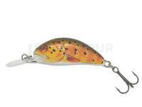 Salmo Hornet H2S - Trout