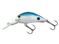 Leurre Salmo Hornet H5F - Red Tail Shiner