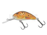 Leurre Salmo Hornet H5F - Trout