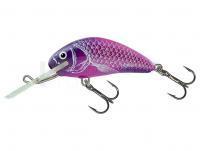 Leurre Salmo Hornet H5F  - UV Purple