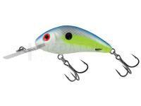 Leurre Salmo Hornet Rattlin H3.5 -  Sexy Shad