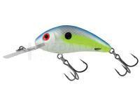 Leurre Salmo Hornet Rattlin H3.5 -  Sexy Shad