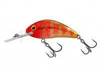 Leurre Salmo Hornet Rattlin H4.5 - Golden Red Head