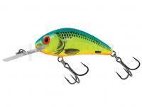 Leurre Salmo Hornet Rattlin H5.5 -  Chartreuse Blue (CHB)