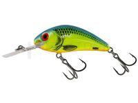Leurre Salmo Hornet Rattlin H6.5 - CB