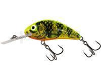 Leurre Salmo Hornet Rattlin H6.5 - Gold Fluo Perch