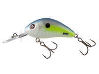 Leurre Salmo Hornet Rattlin H6.5 - SXS