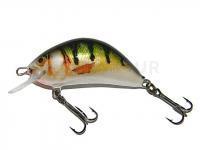 Leurre Kenart Hunter 4cm NP