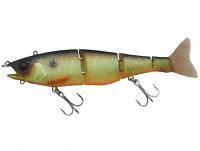 Leurre Illex Gantia 180 mm 52g - Muddy Roach