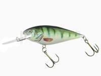 Dorado Invader I-5 Floating P