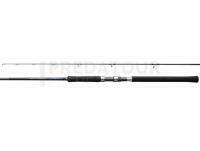 Canne Shimano Salty Advance Spinning 3.05m 10'0" Shore JIG100g 2pc