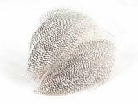 Mallard Duck Drake Grey Flank Large 5-8cm - RUSTY