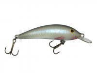 Leurre Gloog Kalipso 80NF-NP