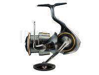 Moulinet Daiwa 23‘ Airity LT PC3000