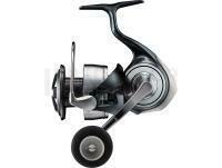 Moulinet Daiwa 24 Certate(G) LT 5000D