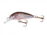 Leurre Krakusek NR.1 5cm neutral - R