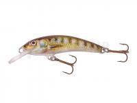 Leurre Krakusek NR.3 5cm Floating - BB