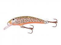 Leurre Krakusek NR.3 5cm Floating - TRP