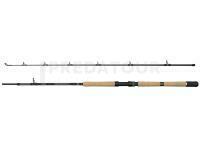 Canne Penn Squadron IV Pro Boat Spin 2.11m 30-50lb