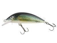 Leurre Hegemon Lucky 6cm - Jazgarz (Ruffe)