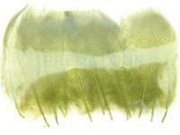 Mallard Duck Drake Grey Flank Medium 4-5cm - Olive / Black