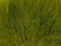 Plumes de marabout Wapsi Marabou Blood Quills - light olive