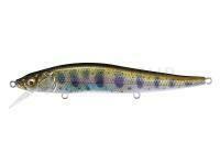 Megabass GH95 95mm - FA AMAGO