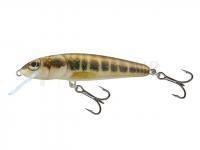 Leurre Salmo Minnow M5F M