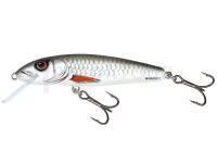 Leurre Salmo Minnow M6F 6cm - Dace