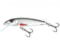 Leurre Salmo Minnow M6S 6cm - Dace