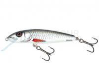 Leurre Salmo Minnow M6S 6cm - Dace