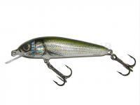 Leurre Salmo Minnow M7F HBL