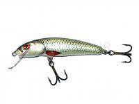 Leurre Salmo Minnow M7S D