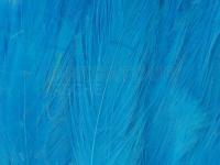 Neck Hackle Strung - sil.dr..blue