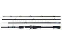 Canne Shimano STC Casting Fast 2.13m 7'0" 14-42g 4pc