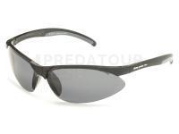 Lunettes polarisantes Solano FL 20049B