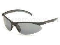 Lunettes polarisantes Solano FL 20049B