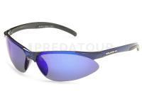 Lunettes polarisantes Solano FL 20049C