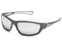 Lunettes polarisantes Solano FL 20056D